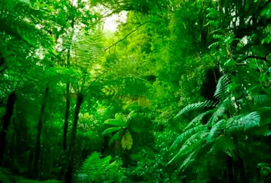 Multiport-meioambiente